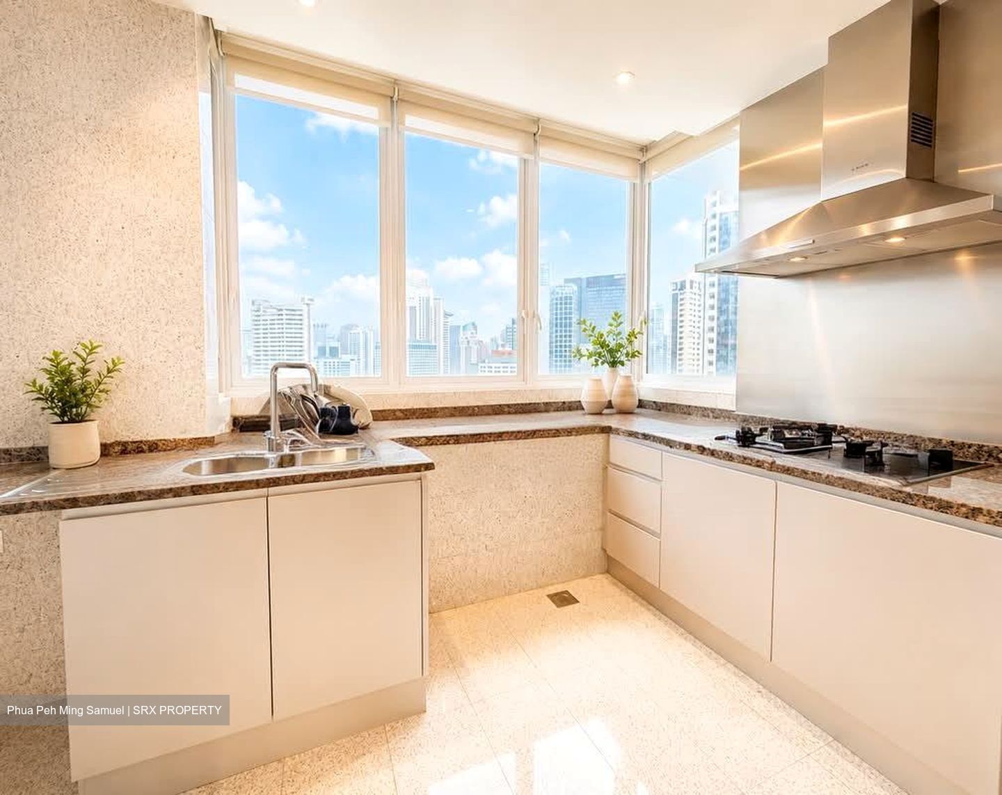 Draycott Eight (D10), Condominium #572750951